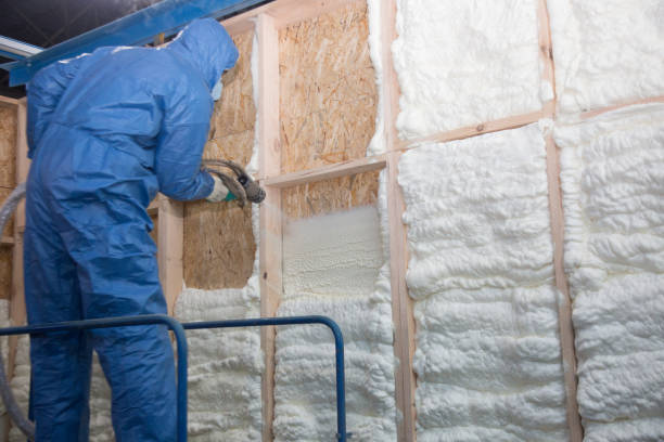 Types of Insulation We Offer in Indian River Estates, FL